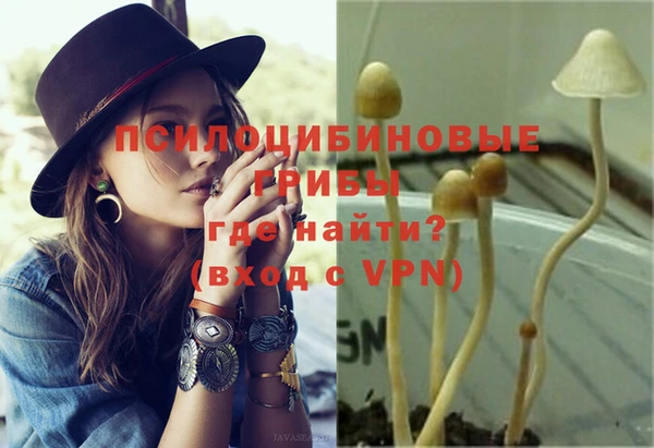 хмурый Болотное