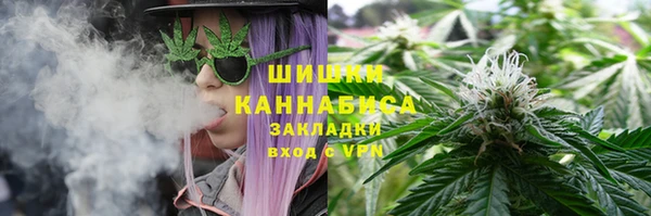 сатива Навашино