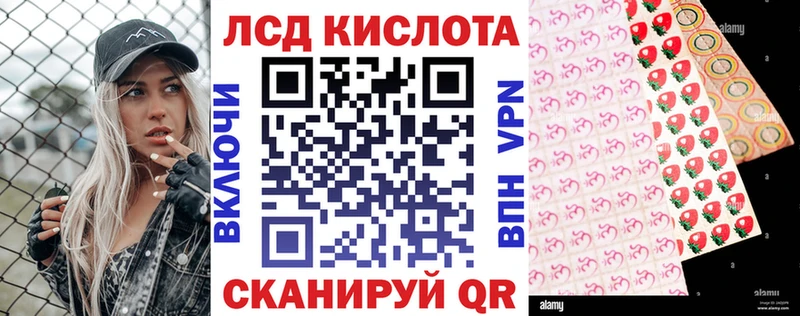 Наркотические марки 1,5мг  OMG маркетплейс  Рассказово  цена наркотик 