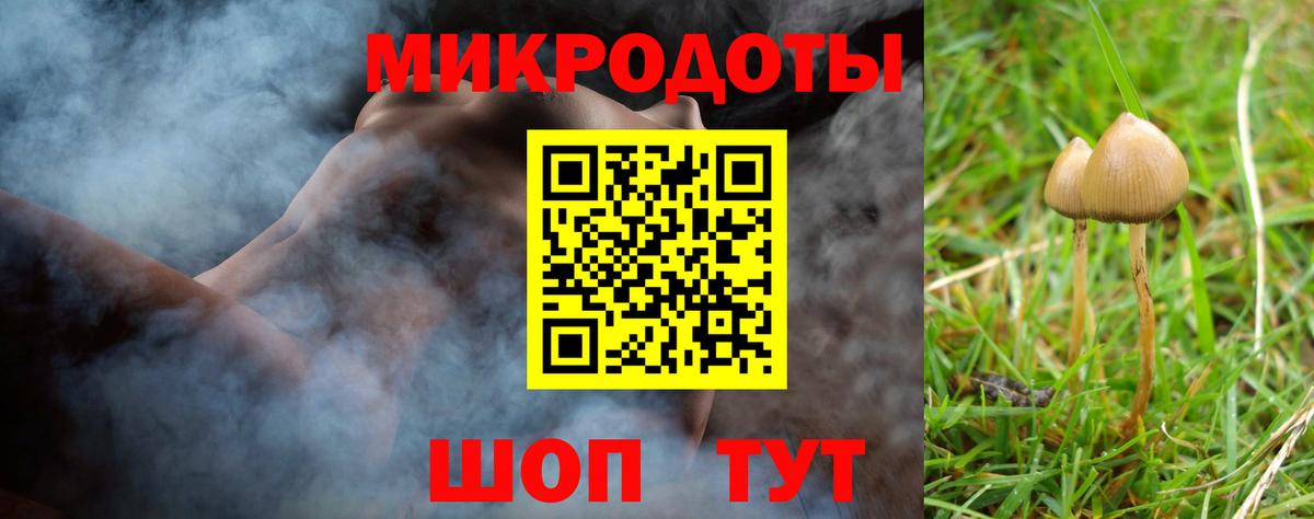 Рассказово  Галлюциногенные грибы Cubensis  Вход с VPN 